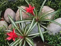 Bilda080.webp