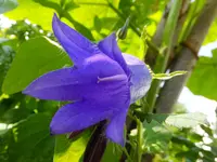 DSCF9031.webp
