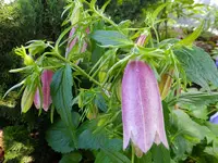 DSCF9091.webp