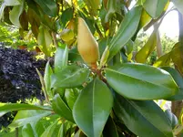 DSCF9058.webp
