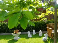 DSCF9055.webp