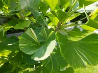 DSCF9051.webp