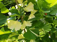 DSCF9052.webp