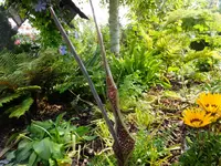 DSCF9119.webp