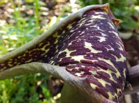 DSCF9125.webp