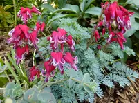 DSCF9141.webp