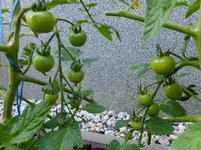 DSCF9045.webp