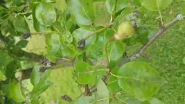 20150613_120825.webp