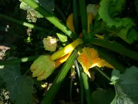 20150613_102326[1].webp