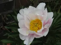 001_1067x800.webp
