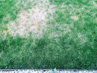 09. April.2015 - vor der Sanierung.webp