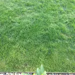26. Mai - 3 Wochen nach Sanierung.webp