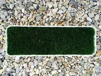 5 Behälter - 13.06.2015.webp