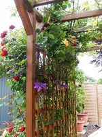 DSCN1603.webp