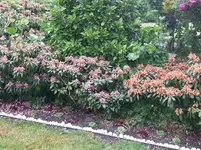 20150613_140755.webp