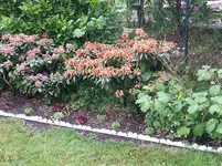 20150613_140814.webp