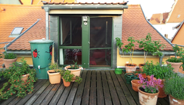 dt 2015-1.webp