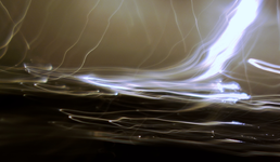 white (30).webp