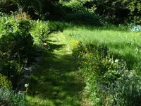 DSC04177.jpg