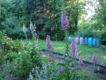 DSC04347.jpg