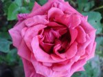 DSC04340.jpg