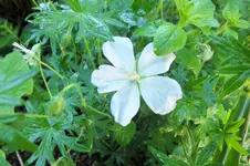 DSCF1422 (2).webp