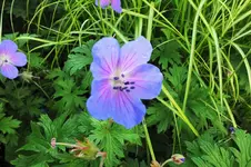 DSCF1444 (2).webp