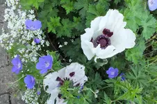 DSCF1447 (2).webp