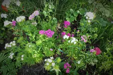 DSCF1443 (2).webp