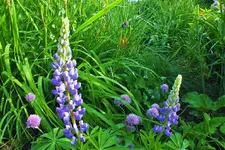 DSCF1441 (2).webp