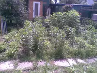 Bild001.webp