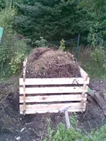 Bild004.webp