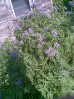 Bild007.webp