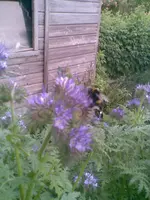 Bild010.webp