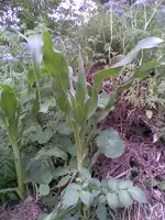 Bild002.webp
