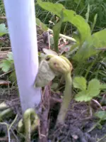 Bild007.webp