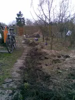 Bild019.webp