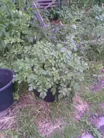 Bild044.webp