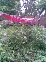 Bild045.webp