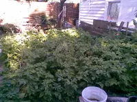 Bild081.webp