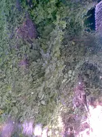 Bild082.webp