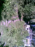 Bild083.webp