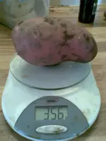 Bild104.webp