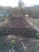 Bild121.webp