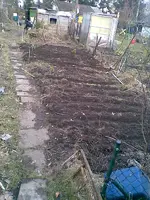 Bild122.webp