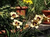 DSC01768.webp