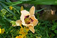 DSC_4698.webp