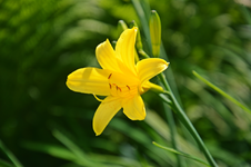 DSC_4701.webp