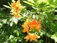 Bilda083.webp
