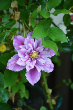 DSC_4673.webp